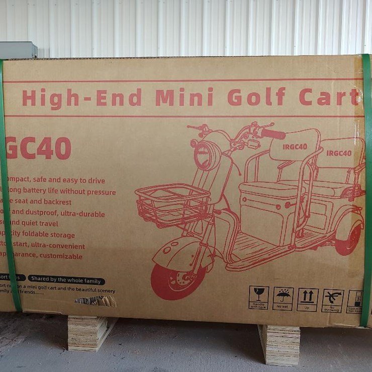 IR IRGC40 High-End Mini Electric Golf Cart, Color Purple