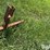 3-pt-hay-inverter-rake-image-12