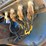 caterpillar-c27-image-41