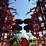 2013-kuhn-krause-5635-46ft-field-cultivator-image-47