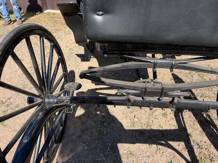 #2494-•-surrey-horse-wagon-image-13