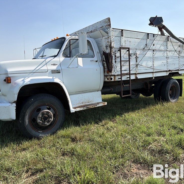 1973 GMC C6000 S/A Grain Truck