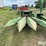 1994-john-deere-3970-image-10