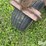 2003-grasshopper-225-image-15