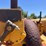 caterpillar-thirty-image-31