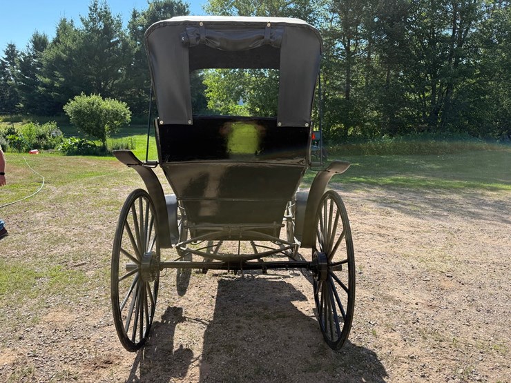 #2494-•-surrey-horse-wagon-image-4