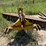 3-pt-blade-image-2