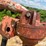 caterpillar-12-image-19