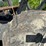2014-timberpro-tf830-image-90