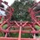 case-ih-4800-image-12