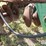 john-deere-330-image-18
