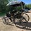 #2494-•-surrey-horse-wagon-image-3