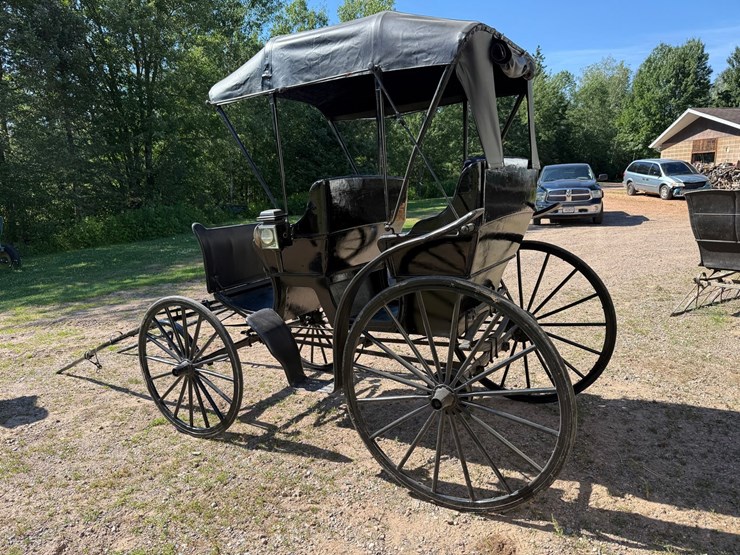#2494-•-surrey-horse-wagon-image-3