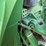 2006-john-deere-8430-image-14