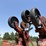 krause-4708-8r30"-no-till-cultivator-image-18