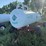 anhydrous-tank-image-2