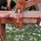 massey-ferguson-820-image-13
