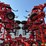 2013-kuhn-krause-5635-46ft-field-cultivator-image-40