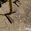 buffalo-4600-image-17