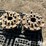 case-ih-7110-image-2