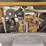 atlas-copco-xas375cd6-image-11