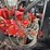 #61237-•-1951-ford-pickup-image-52