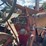 farmall-300-gas-image-21