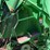 john-deere-557-image-28
