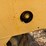 mauldin-1450-image-10