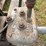 electric-pump-image-5