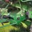 2009-john-deere-9770-sts-image-10