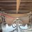 2003-great-dane-van-image-20
