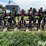 case-ih-2500-image-6