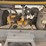 atlas-copco-xas375cd6-image-10