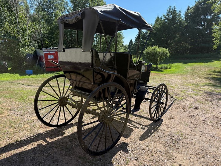 #2494-•-surrey-horse-wagon-image-5
