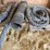 heavy-duty-tow-rope-&-seed-tender-parts-image-2