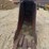 #2285-•-cf-approx.-28"-tooth-ditching-bucket-image-4