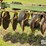 john-deere-1630-image-17