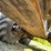 2014-timberpro-tf830-image-78