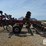 2024-case-ih-ecolo-tiger-875-image-4