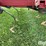 case-ih-4800-image-19