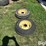 7.5l-15-tires-&-rims-image-9