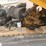 atlas-copco-xas185cd7-image-13