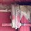 horse-transport-5th-wheel-livestock-trailer-image-64