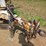 #1801-•-2016-altec-towable-wood-chipper-image-24