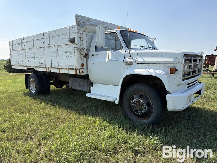 1973-gmc-c6000-s/a-grain-truck-image-3