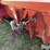 2008-case-ih-2208-image-11