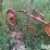 3-pt-hay-inverter-rake-image-18