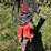 2010-case-ih-conser-till-690-image-10