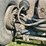 peterbilt-389-image-15